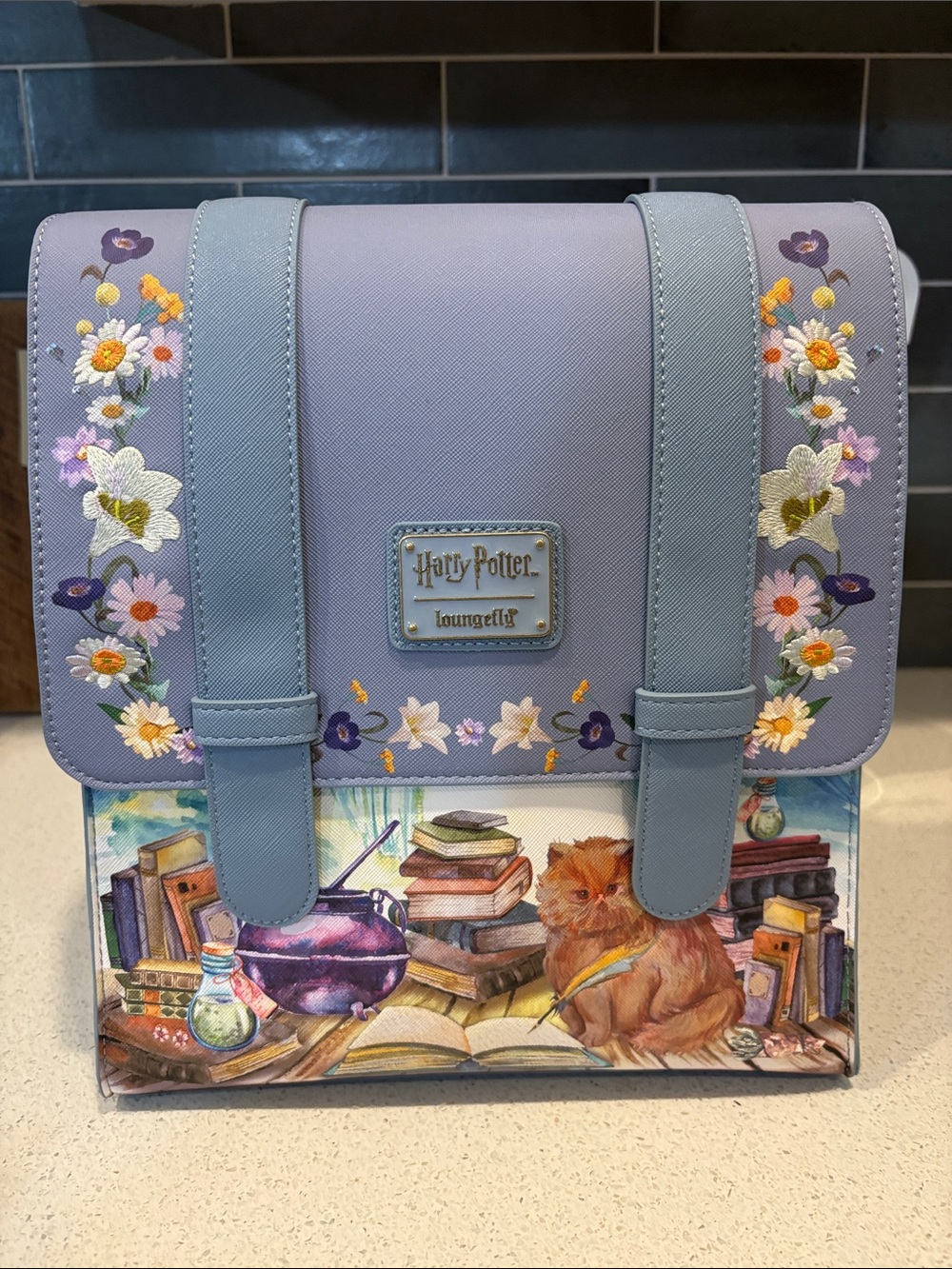 Harry Potter Hermione Backpack NWT BAM Exclusive - Picture 2 of 6